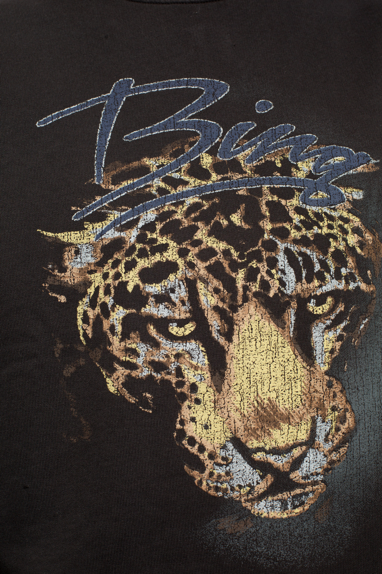 Anine bing leopard on sale sweatshirt